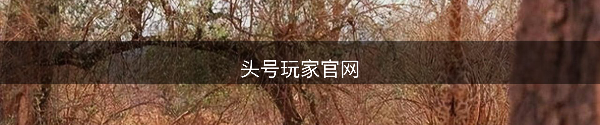 头号玩家官网